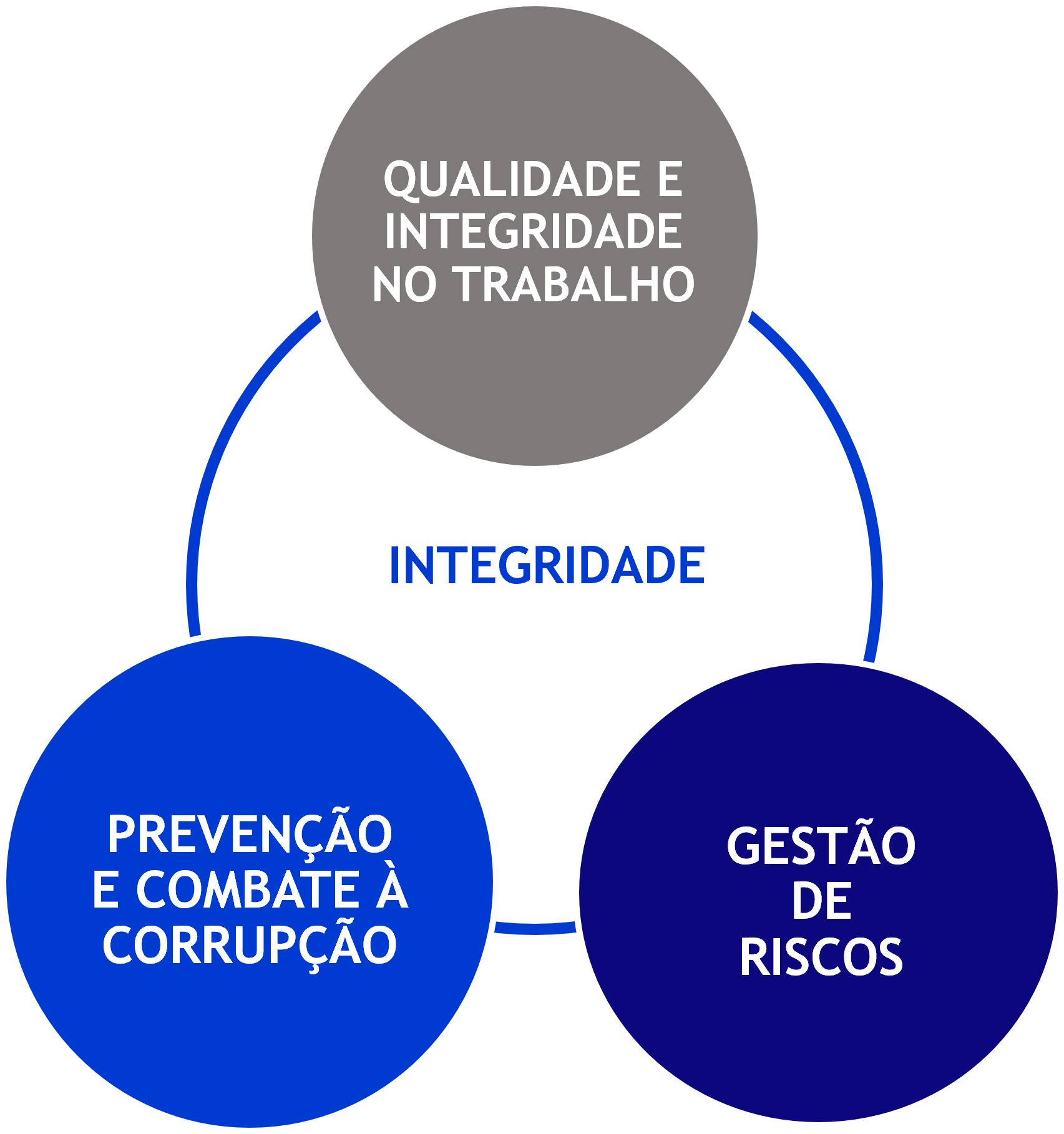 Juntos pela Integridade - Eixos.png