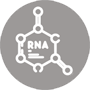 firjan-rt-pcr-teste-covid-etapa-2.png