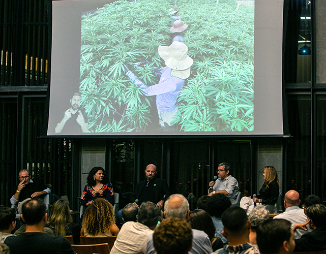 Especialistas discutiram perspectivas do mercado de cannabis no Brasil, tanto na saúde, como em outras aplicações industriais